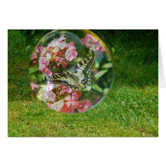 Butterfly Bubble