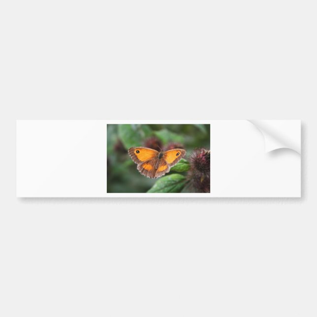 Butterfly Bumper Sticker (Front)