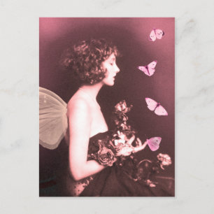 Butterfly, Butterfly Postcard
