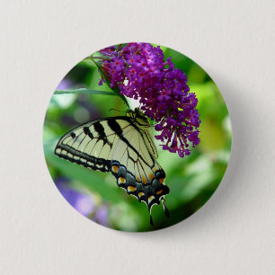 Butterfly Button