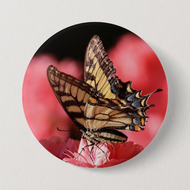 Butterfly Button Pin (Front)