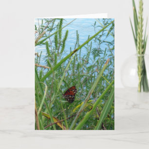 Butterfly by the River Card