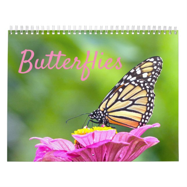 Butterfly Calendar (Cover)