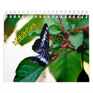 Butterfly Calendar