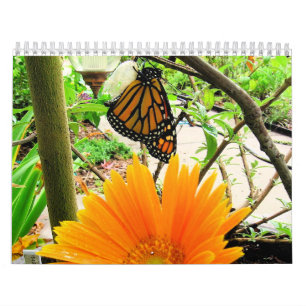 Butterfly calendar