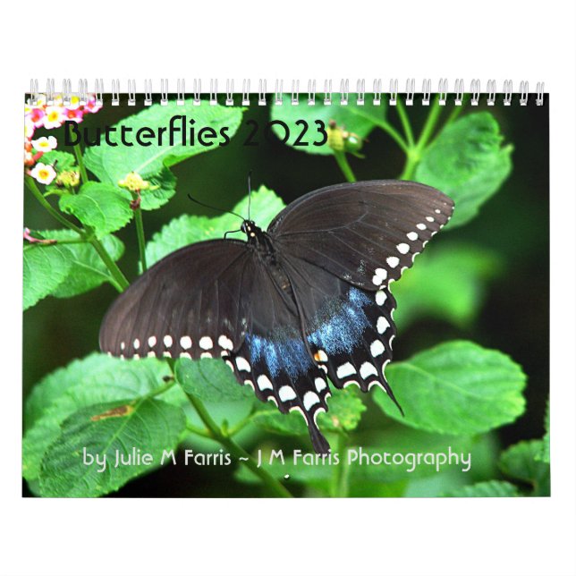 Butterfly Calendar 2023 (Cover)