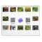 Butterfly Calendar Pick Your Start Month / Year
