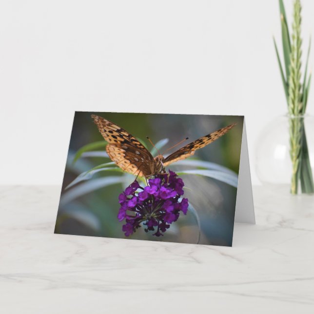 Butterfly, card (Front)