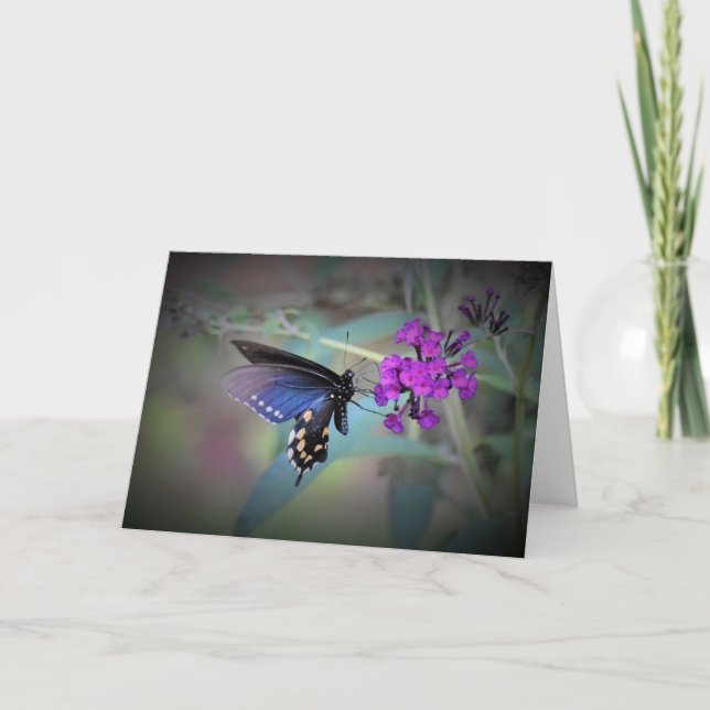 Butterfly, card (Front)