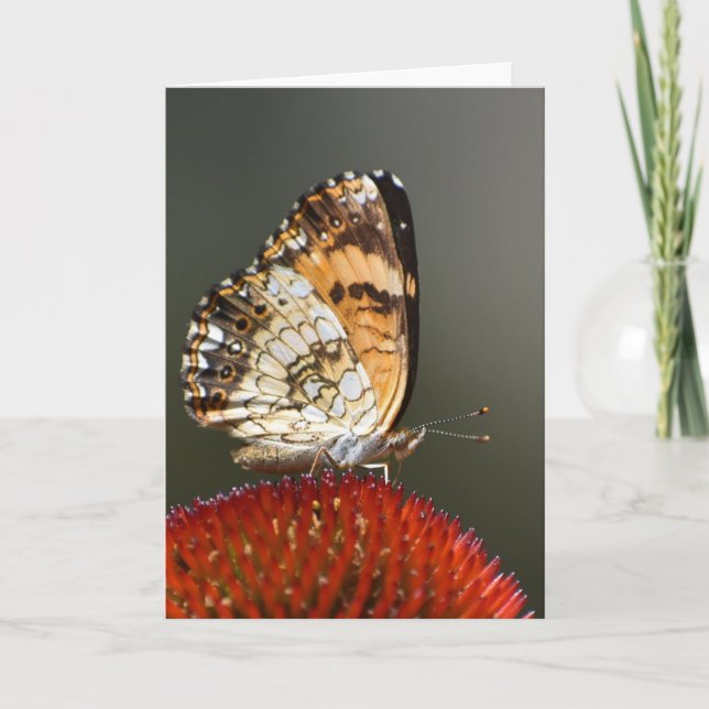 Butterfly, card (Front)