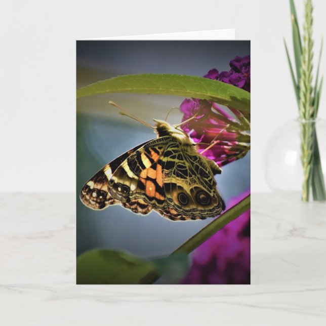 Butterfly, card (Front)