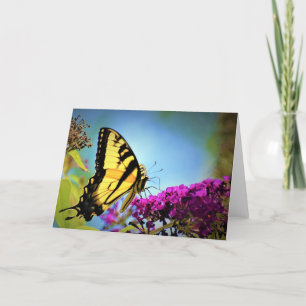 Butterfly, card
