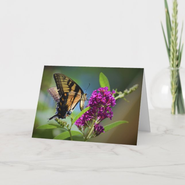 Butterfly, card (Front)