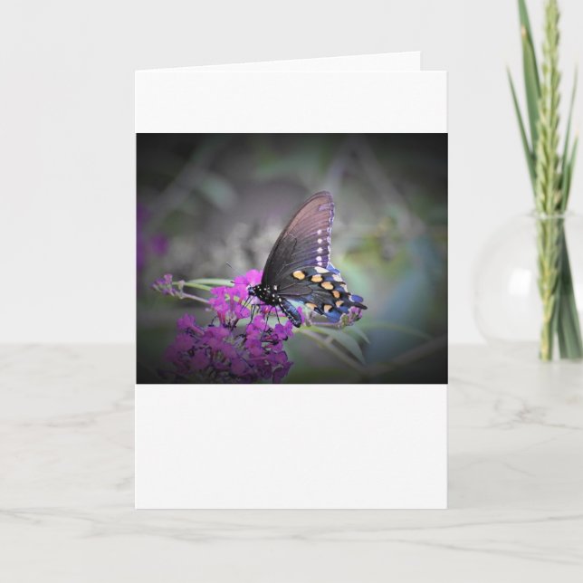 Butterfly, card (Front)