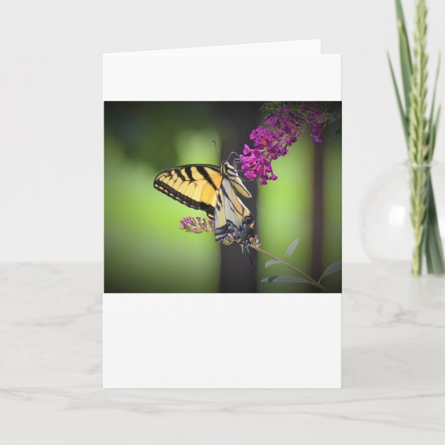 Butterfly, card (Front)