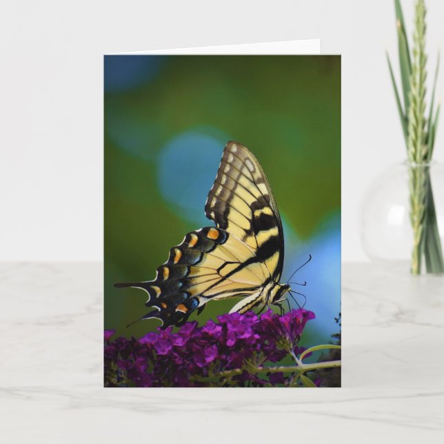 Butterfly, card (Front)