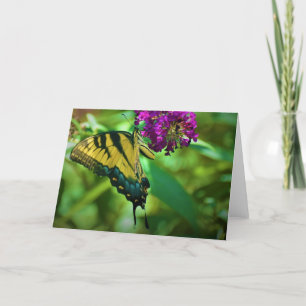 Butterfly, card