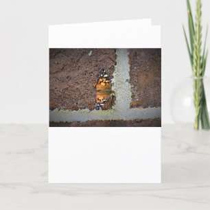 Butterfly, card