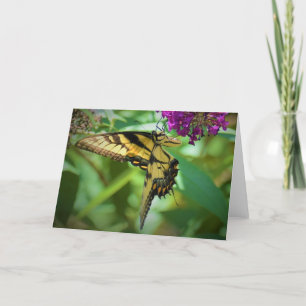 Butterfly, card