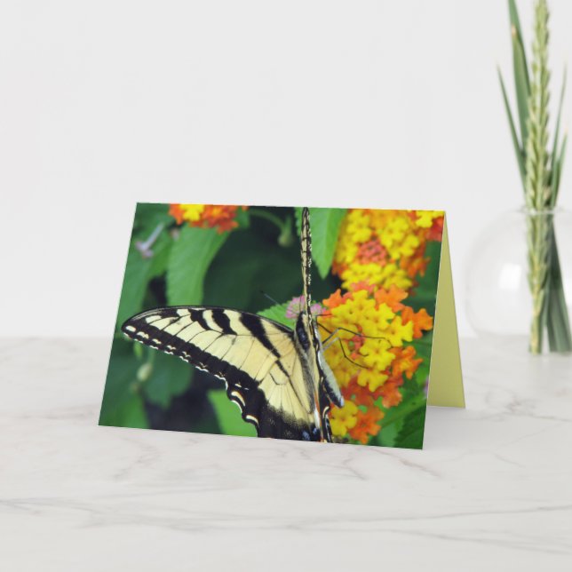 Butterfly Card (Front)