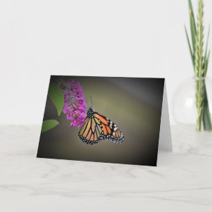 Butterfly, card