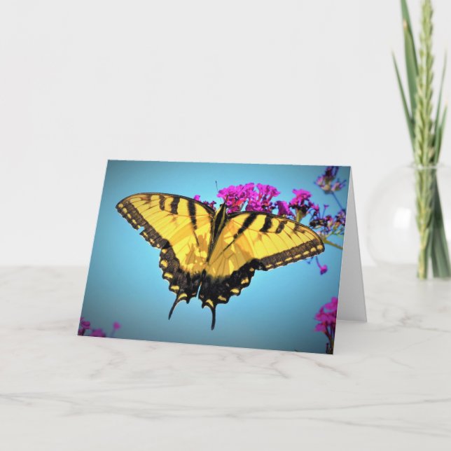 Butterfly, card (Front)