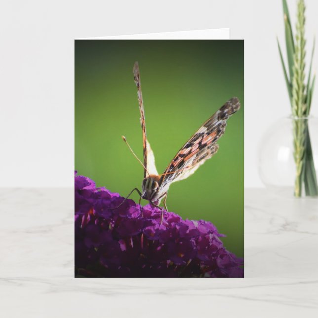 Butterfly, card (Front)