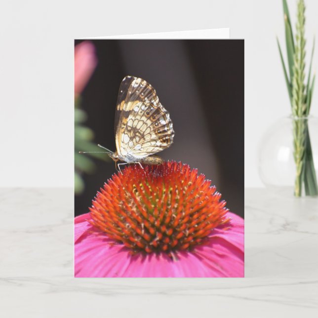 Butterfly, card (Front)