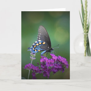 Butterfly, card
