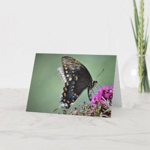 Butterfly, card