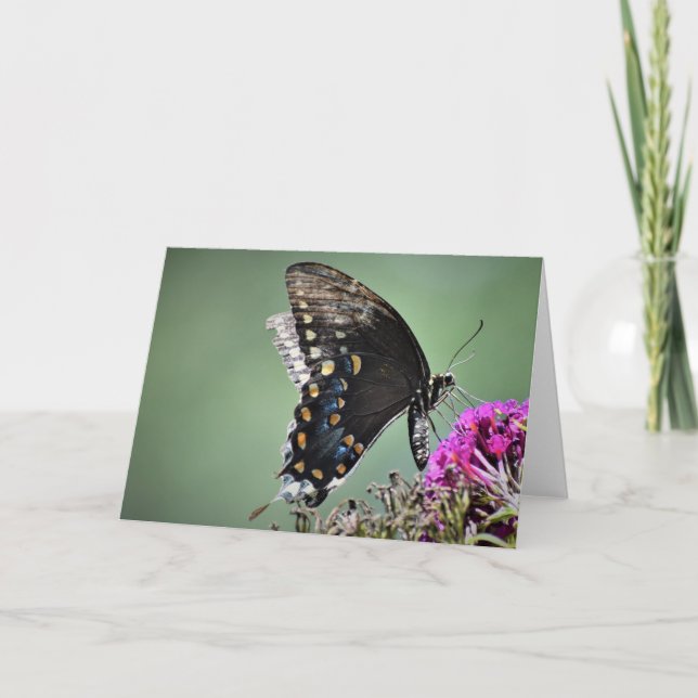 Butterfly, card (Front)