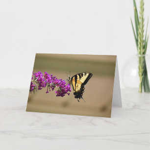 Butterfly, card
