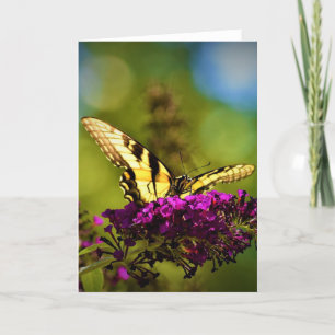 Butterfly, card