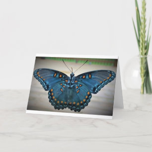 Butterfly, card