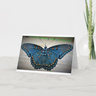 Butterfly, card