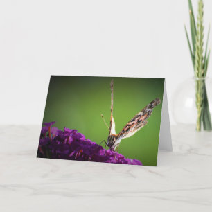 Butterfly, card