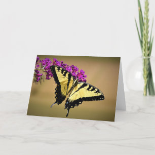 Butterfly, card