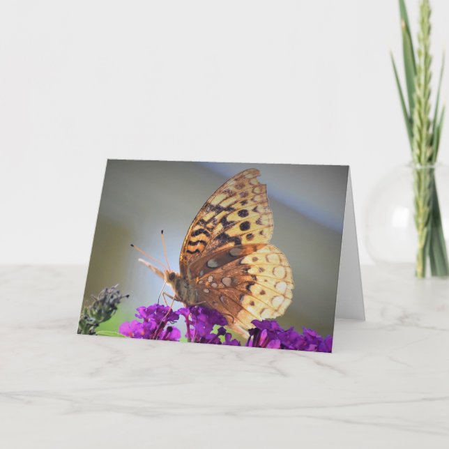 Butterfly, card (Front)