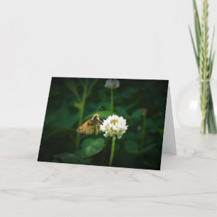 Butterfly, card