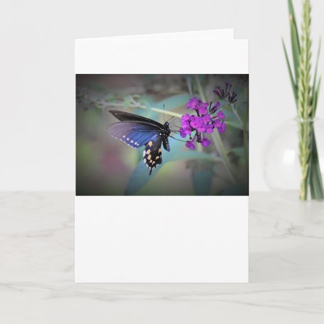 Butterfly, card (Front)