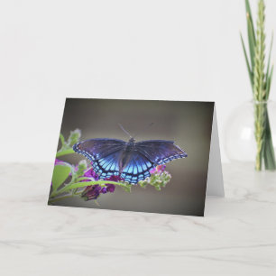 Butterfly, card