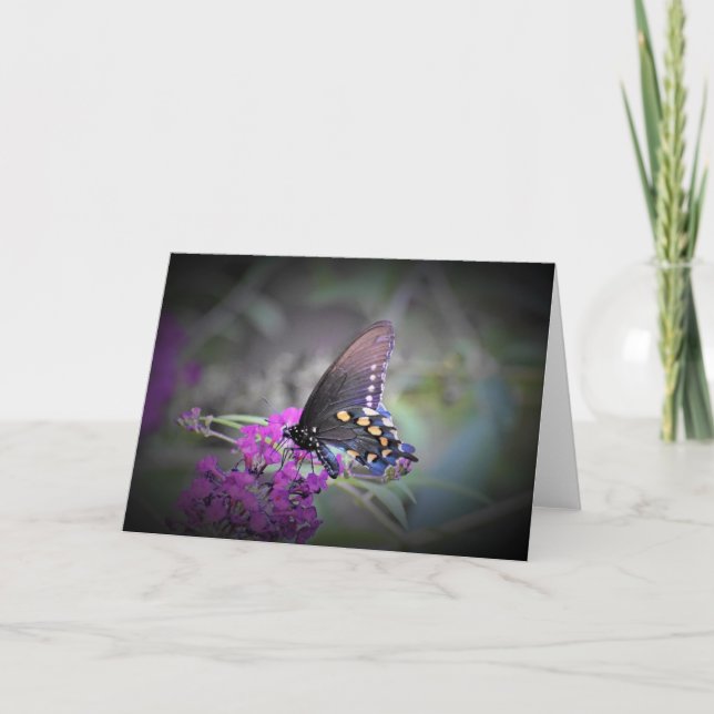 Butterfly, card (Front)