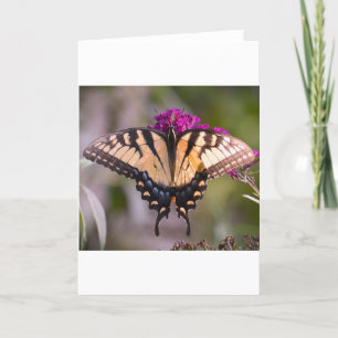 Butterfly, card