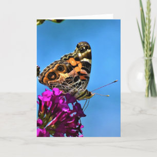 Butterfly, card
