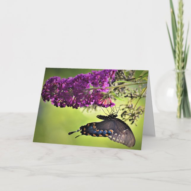 Butterfly, card (Front)