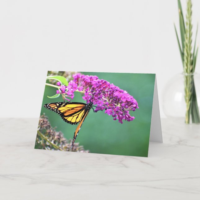 Butterfly, card (Front)