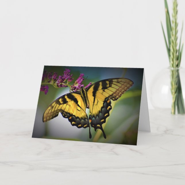 Butterfly, card (Front)