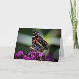 Butterfly, card