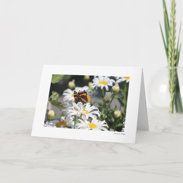 Butterfly Card (Front)