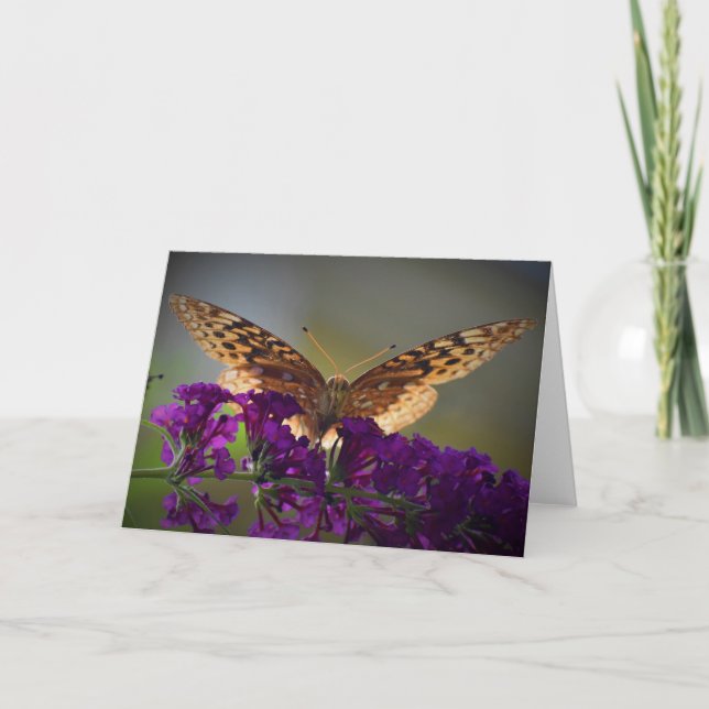 Butterfly, card (Front)